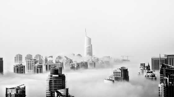What is Online Business - buildings in fog